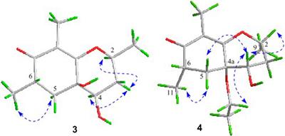 Cyclohexanone and Phenolic Acid Derivatives from Endophytic Fungus Diaporthe foeniculina